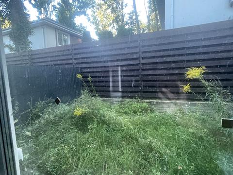 дом по адресу Киево-Мироцкая ул.