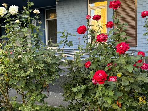 квартира за адресою Київ, Драгоманова вул., 6-А