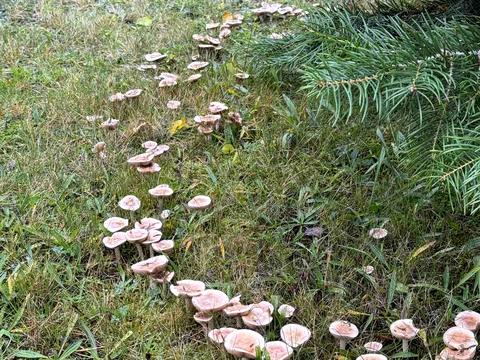 будинок за адресою Хутірська вул. (Жовтнева), 12