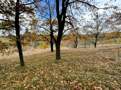 ділянка за адресою с. Великі Дмитровичі, 
