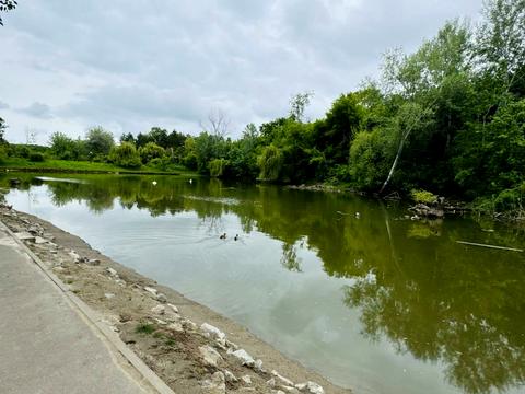 участок по адресу Дендропарковая ул.