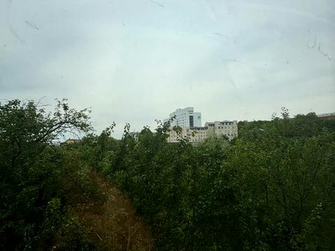 комерційна за адресою Бульварно-Кудрявська вул. (Воровського), 45