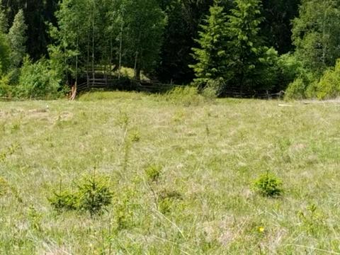 участок по адресу пгт. Верховина, 
