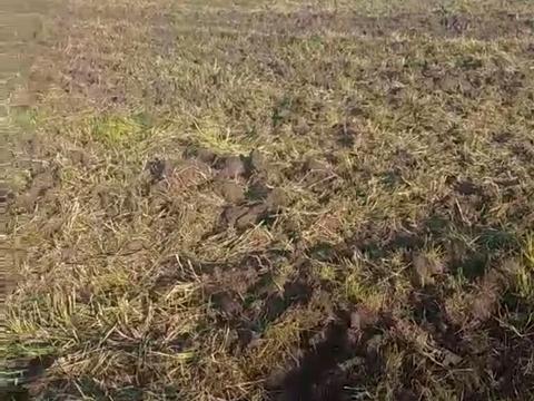 ділянка за адресою Озерна
