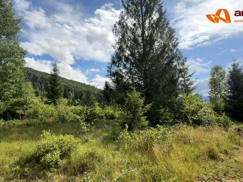 ділянка за адресою с. Стара Гута, 