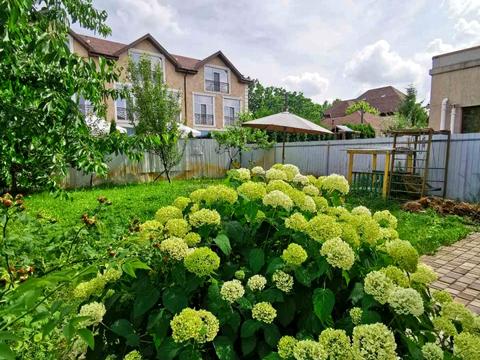 будинок за адресою Соборна вул. ()