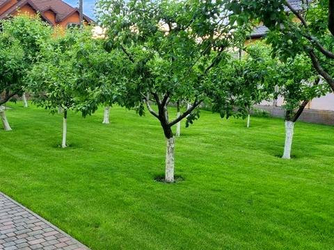 будинок за адресою Яблунева, 33