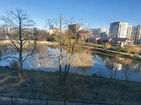 квартира за адресою Приозерна вул., 31