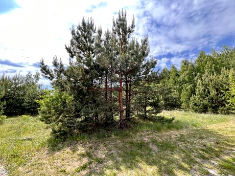 ділянка за адресою с. Блиставиця, 