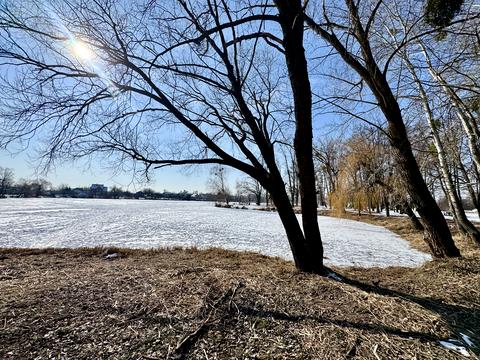 участок по адресу Городня