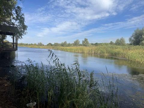 участок по адресу озерна