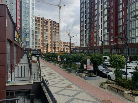 квартира по адресу Княгинин ул., 44
