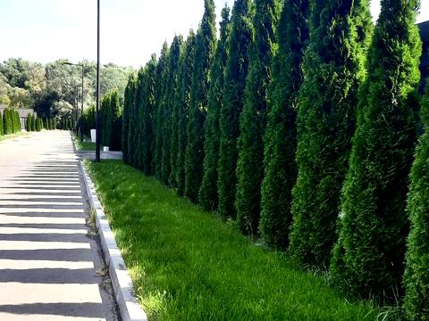 дом по адресу Крюченкина, 1