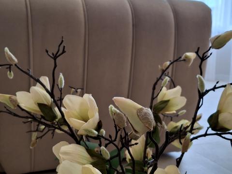 квартира за адресою Смакули вул., 8