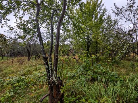 участок по адресу 