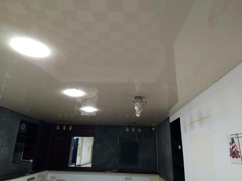 комерційна за адресою Данилевського вул., 10