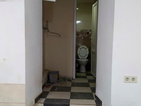 комерційна за адресою Данилевського вул., 10