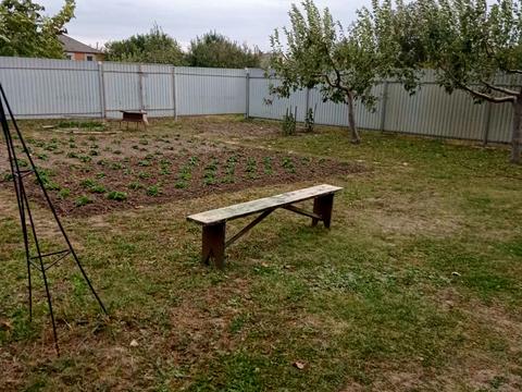 дом по адресу Центральна