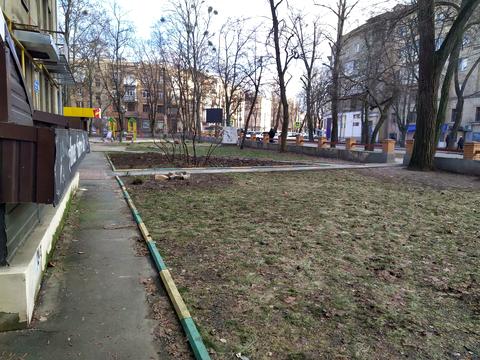 комерційна за адресою Данилевського вул., 10