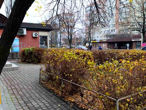 коммерческая по адресу Иоанна Павла II ул. (Будівельників), 20