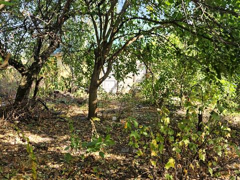 ділянка за адресою СК Лісова поляна