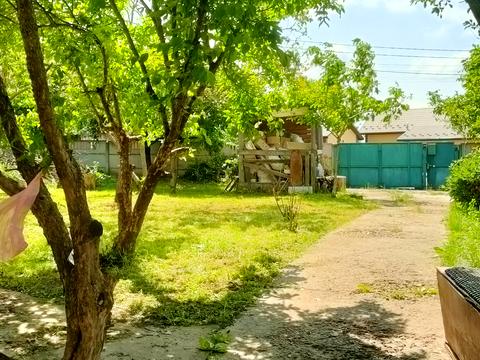 будинок за адресою Центральна вул., 15