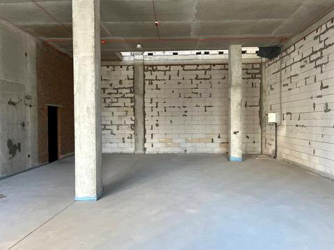 комерційна за адресою Олександра Олеся вул., 25