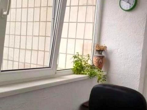 квартира за адресою Дмитра Багалія вул. (Пожарського), 8-А