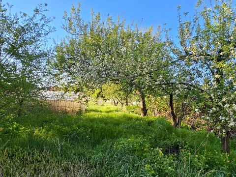 будинок за адресою с. Новоолександрівка, Гагаріна