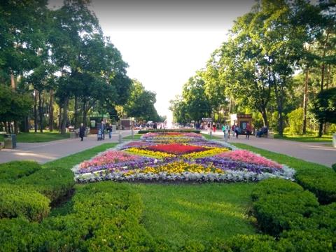 квартира за адресою Алішера Навої просп., 80