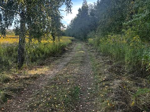 участок по адресу с. Рославичи, Полевой пер.