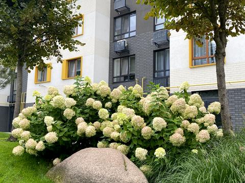 квартира по адресу Соборная ул., 2-К/32