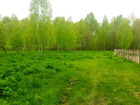 участок по адресу Левківська