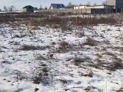 ділянка за адресою Весіння