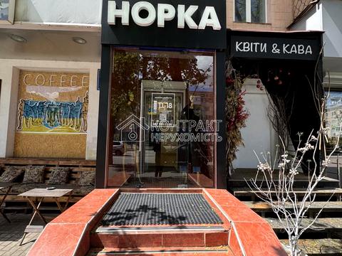 комерційна за адресою Науки вул., 19