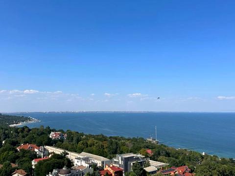квартира по адресу Французский бульв., 63/65 к3