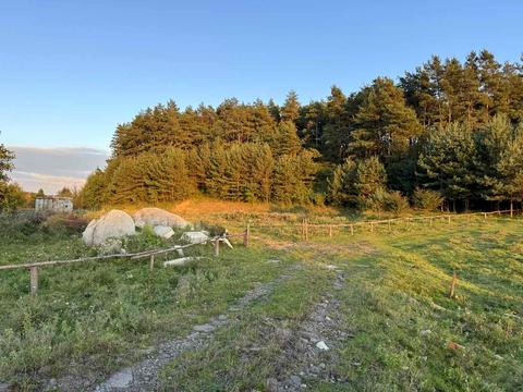 ділянка за адресою 