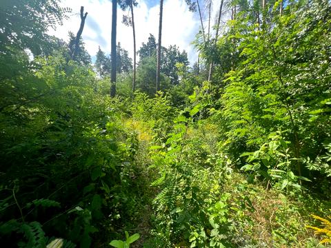 ділянка за адресою Котляревського