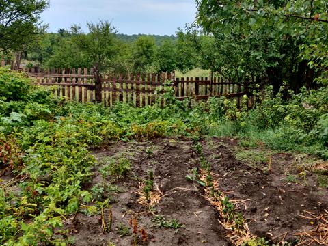 ділянка за адресою Кегичевская ул., 9