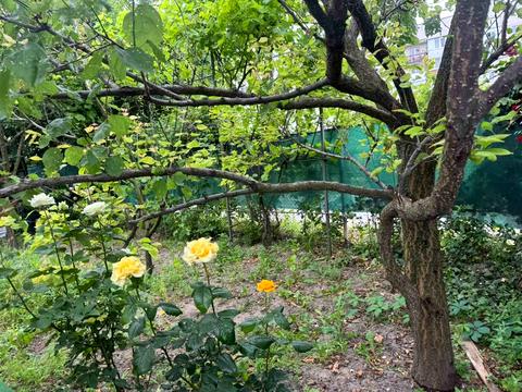 дом по адресу Железнодорожная ул., 60