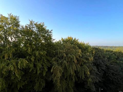 квартира за адресою Жасминова вул., 5б