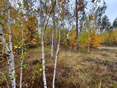 ділянка за адресою 11-та Лінія вул.