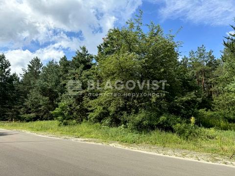 ділянка за адресою Броварський просп.