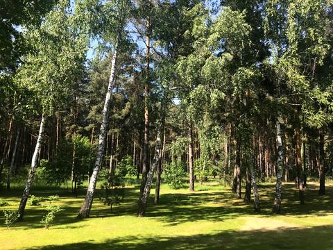 дом по адресу Петра Сагайдачного, 50