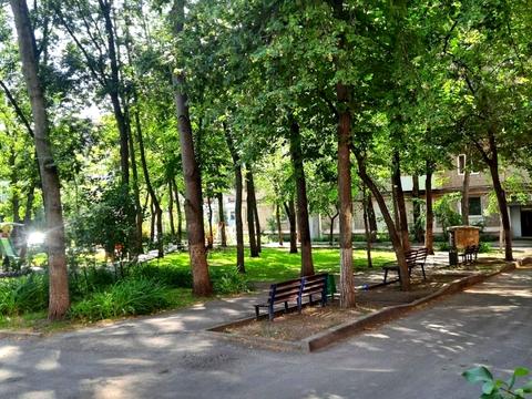 квартира по адресу Евгения Котляра ул. (Красноармейская), 12