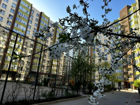 квартира по адресу Академіка Шалімова ул., 69-Б