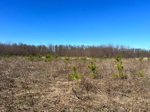 участок по адресу 