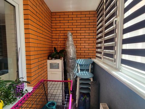 квартира за адресою Жаботинського вул. (Пролетарская улица), 56а