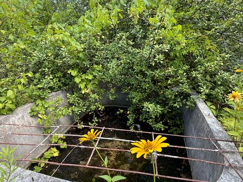 будинок за адресою Шевченко