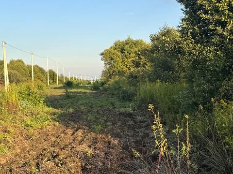 участок по адресу 